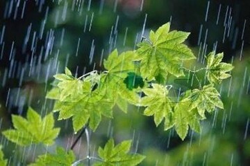 تداوم بارش‌ها در شمال کشور تا پایان هفته