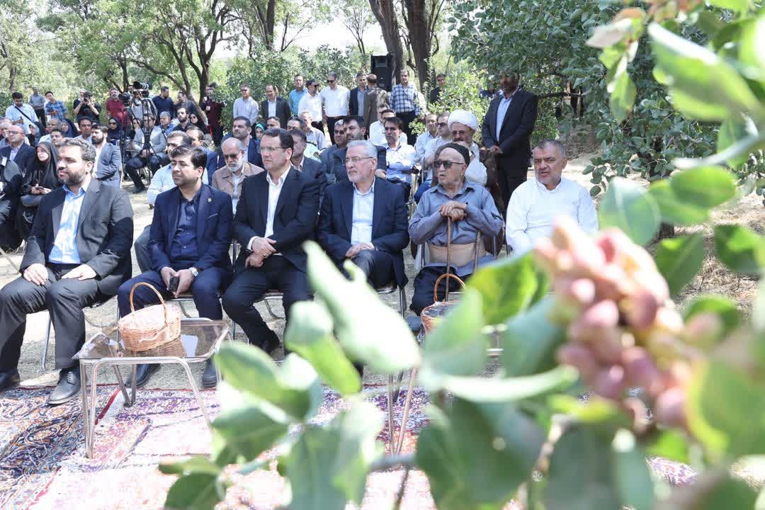 احیای باغستان سنتی قزوین اولویت فرهنگی و اقتصادی ماست