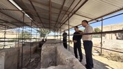 بازدید سرپرست اداره‌کل میراث‌فرهنگی کرمانشاه از آتشکده پلنگرد/ تاکید بر اهمیت توسعه گردشگری در اسلام‌آباد غرب