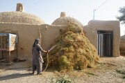خارخانه؛ ابتکاری بومی در معماری سنتی سیستان و روستای گردشگری قلعه‌نو است