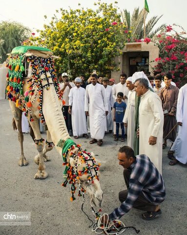 هرمزگان
