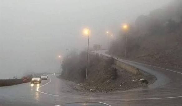 جاده چالوس پس از ۱۴ ساعت انسداد، دوطرفه شد/ بارش باران و مه گرفتگی در محورهای شمالی کشور