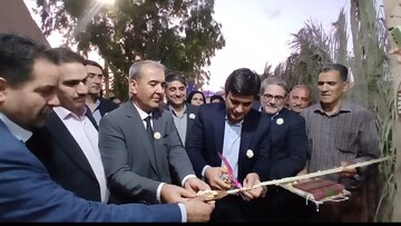 هشتمین جشنواره تابستانه و پنجمین جشنواره خرمای بافق آغاز به کار کرد