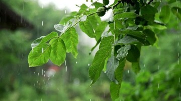 سخاوت آسمان، نغمه‌ باران و عطر کاهگل/ روایت یک روز بارانی در گیلان