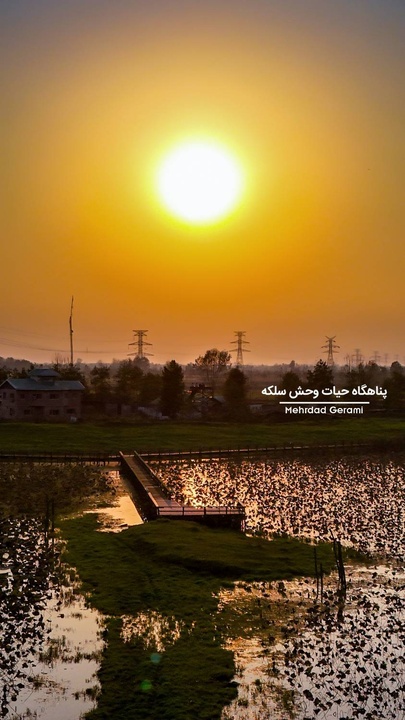 تالاب سلکه