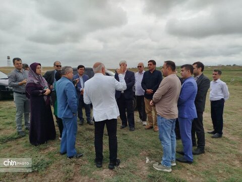 هیات وزارت