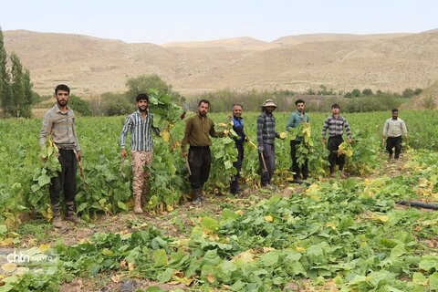 دیدنی های روستای بقمچ شهرستان چناران