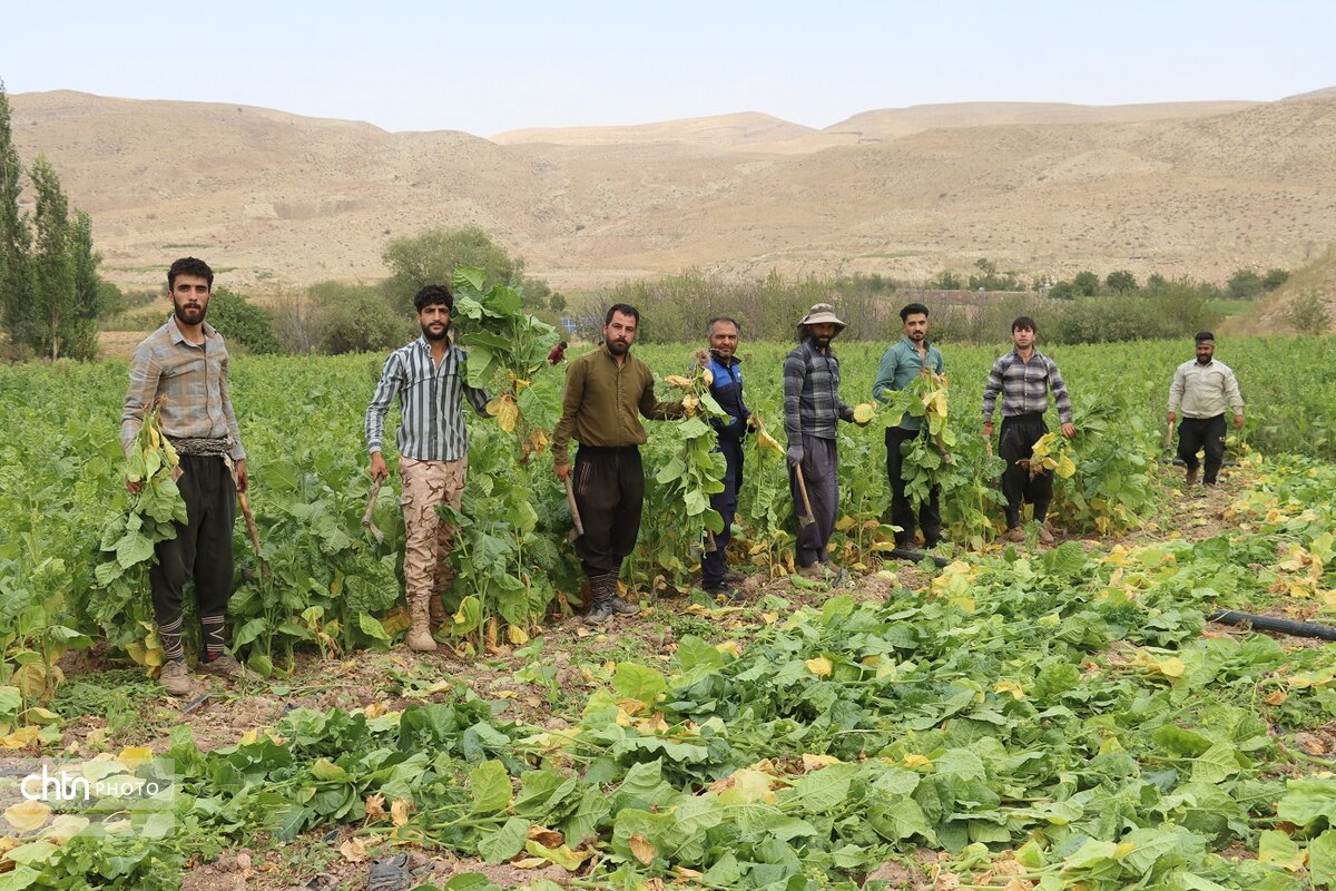 روستای بقمچ چناران؛ مقصدی مستعد برای گردشگری روستایی
