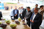 روستای درسجین در مسیر ثبت جهانی / جشنواره‌های محلی، موتور محرک اقتصاد گردشگری زنجان