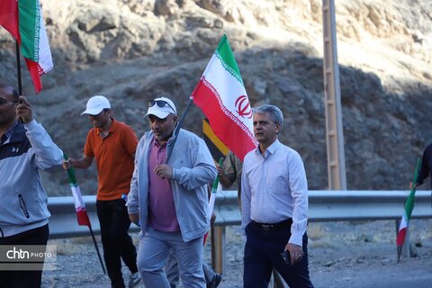 همکاران
