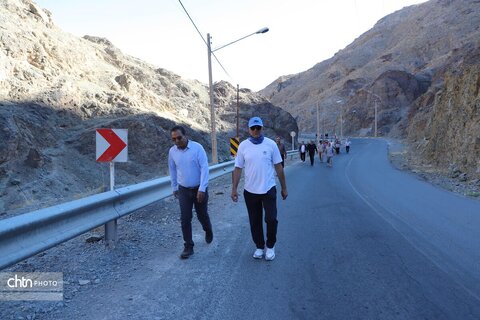 همکاران