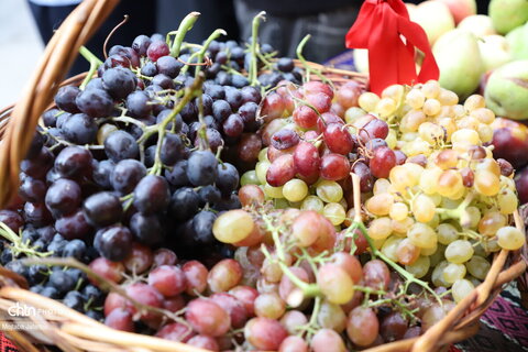 دومین روز از  چهارمین جشنواره انگور روستای درسجین شهرستان ابهر
