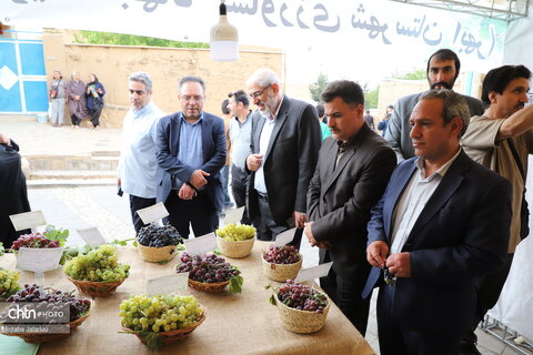 دومین روز از  چهارمین جشنواره انگور روستای درسجین شهرستان ابهر