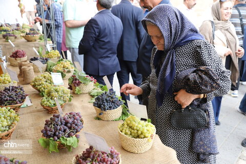 دومین روز از  چهارمین جشنواره انگور روستای درسجین شهرستان ابهر