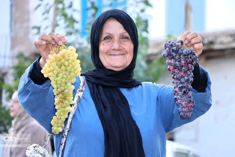 اولین روز از برگزاری جشنواره انگور روستای درسجین شهرستان ابهر