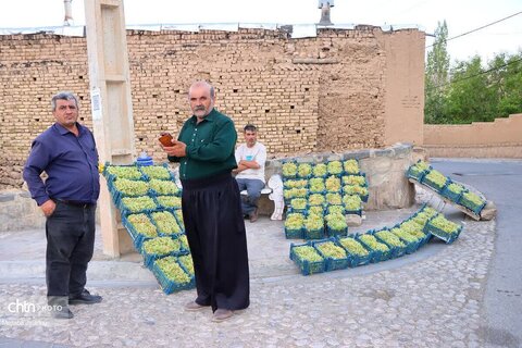 اولین روز از برگزاری جشنواره انگور روستای درسجین شهرستان ابهر