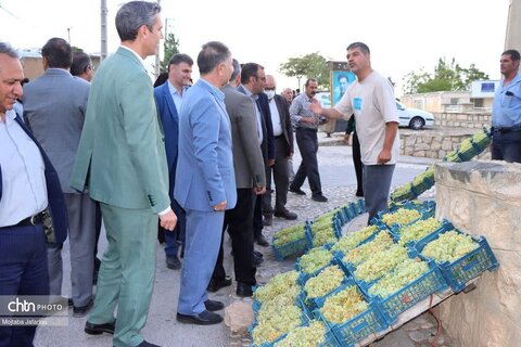 اولین روز از برگزاری جشنواره انگور روستای درسجین شهرستان ابهر