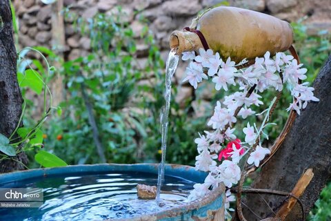 اولین روز از برگزاری جشنواره انگور روستای درسجین شهرستان ابهر