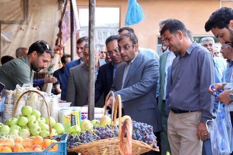اولین روز از برگزاری جشنواره انگور روستای درسجین شهرستان ابهر