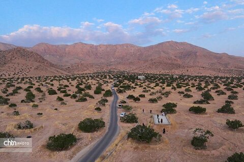 انجیرستان استهبان؛ مقصدی برای گردشگری کشاورزی