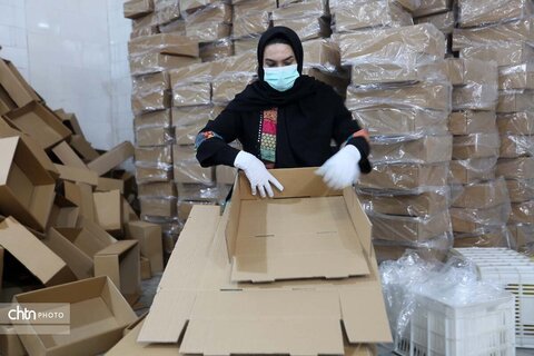 انجیرستان استهبان؛ مقصدی برای گردشگری کشاورزی