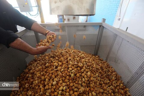 انجیرستان استهبان؛ مقصدی برای گردشگری کشاورزی