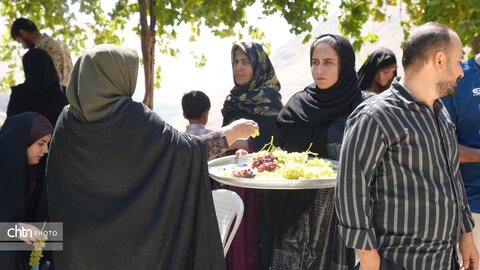 نذر بن‌دار