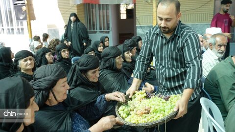نذر بن‌دار