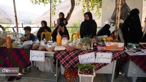 نذر بن‌دار