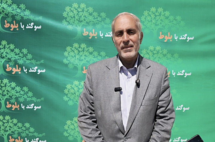 حفاظت از بلوط‌های زاگرس در گروی ایجاد اشتغال پایدار و توسعه زیرساخت‌هاست/ توسعه گردشگری یکی از راه‌های نجات جنگل‌های بلوط زاگرس است 