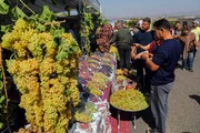 چهارمین رویداد فرهنگی و گردشگری ملی انگور مشگین‌شهر