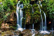 آسارا؛ یک پیچ مانده تا مقصد