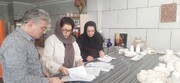 ظرفیت کارگاه‌های صنایع‌دستی متقاضی تسهیلات در بیرجند ارزیابی شد