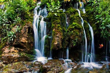 آسارا؛ یک پیچ مانده تا مقصد