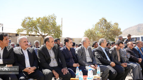 بلوط