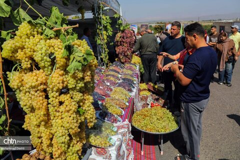 چهارمین رویداد فرهنگی و گردشگری ملی انگور مشگین‌شهر
