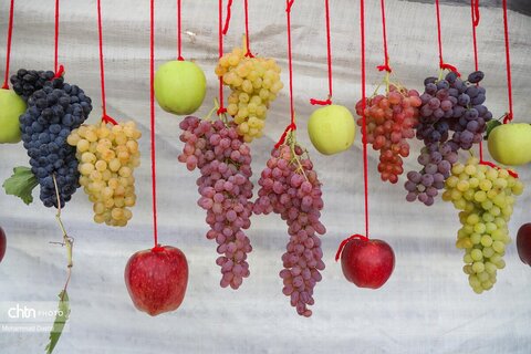 چهارمین رویداد فرهنگی و گردشگری ملی انگور مشگین‌شهر