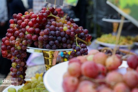 چهارمین رویداد فرهنگی و گردشگری ملی انگور مشگین‌شهر