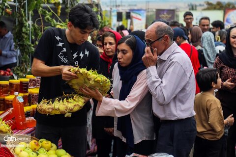 چهارمین رویداد فرهنگی و گردشگری ملی انگور مشگین‌شهر