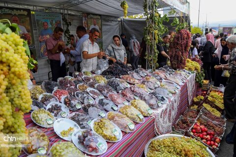 چهارمین رویداد فرهنگی و گردشگری ملی انگور مشگین‌شهر