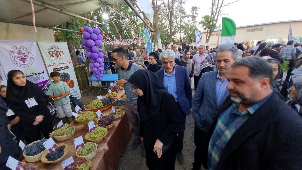 سیامین جشنواره ملی انگور در تاکستان برگزار شد/ جشنی برای پیوند فرهنگ، کشاورزی و گردشگری با طعم انگور
