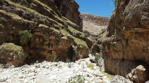 تنگه زید