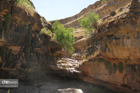 تنگه زید