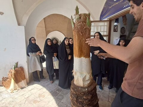 از قلعه باقرآباد تا «ناروت»؛ بانوان بافق در مسیر میراث و کارآفرینی