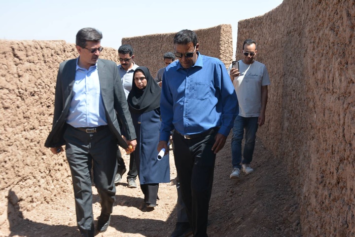 بازدید مدیرکل میراث‌فرهنگی استان از روند پیشرفت فیزیکی باغ پرندگان یزد