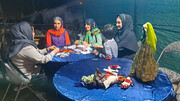 جشنواره هنرمند سبز ارتباطی میان تاریخ و طبیعت