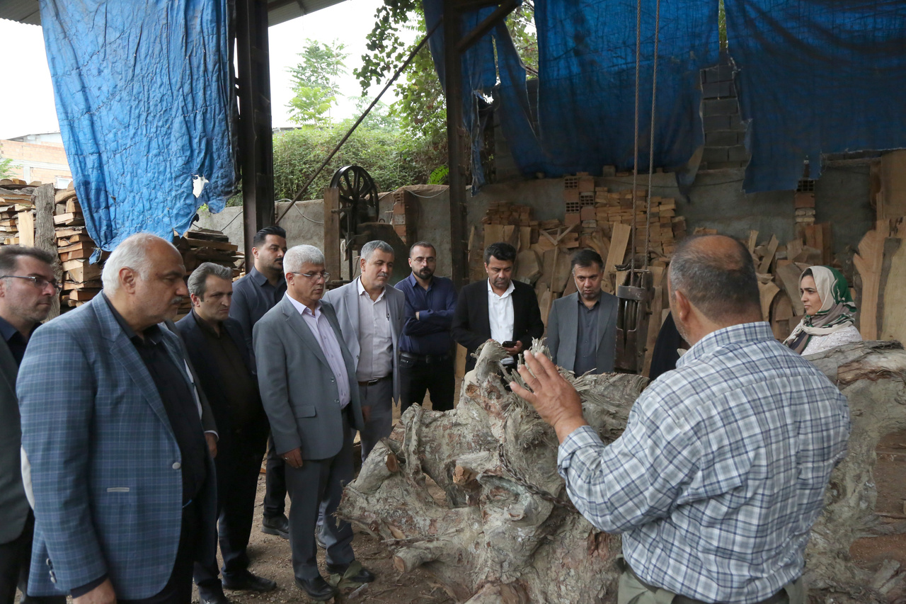 ۴ کارگاه صنایعدستی کردکوی میزبان معاون اقتصادی استاندار گلستان/ بررسی نیازهای توسعه تولید و اشتغال