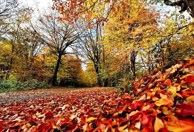افزایش نسبی دمای هوا در اغلب مناطق کشور