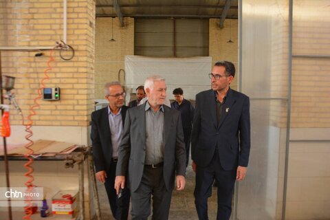 بازدید معاون صنایع‌دستی و هنرهای سنتی وزارت از کارگاه بسته‌بندی صنایع دستی در شاهدیه