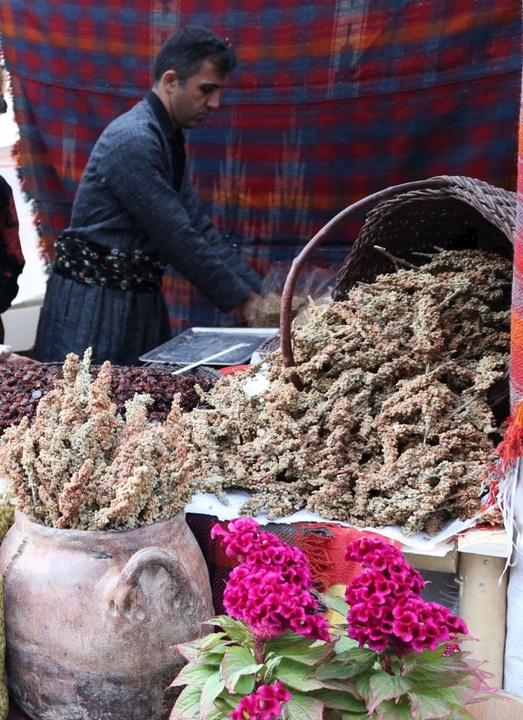 نخستین جشنواره سماق در سروآباد برگزار شد